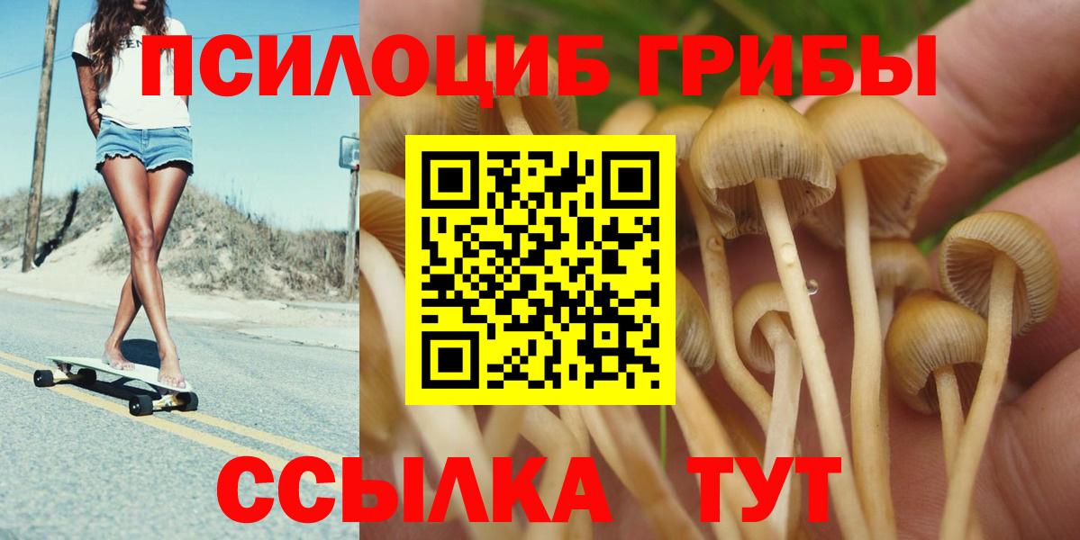 Галлюциногенные грибы Magic Shrooms Новокузнецк